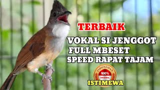 Download lagu Masteran wajib cucak jenggot full mbeset roll tembak speed rapat mp3 Download lagu Masteran wajib cucak jenggot full mbeset roll tembak speed rapat mp3