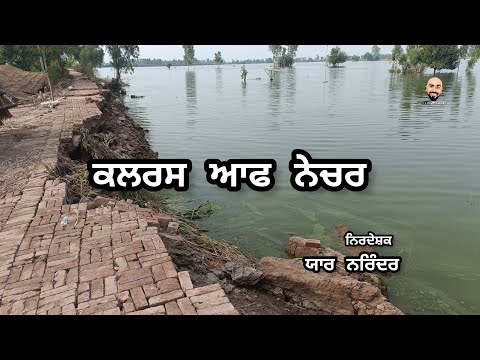 Colors of nature || Punjab flood || Document video || Yaar narinder