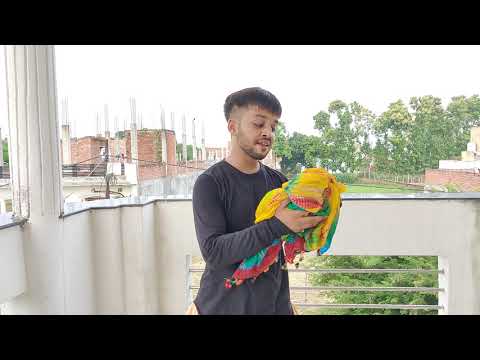 Vinit Vinayak Clsssical D...