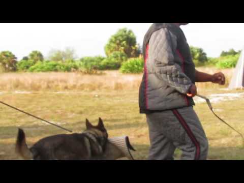 12/10/16 Waine Singleton Workshop- Gibbs Vom Hanrahaus