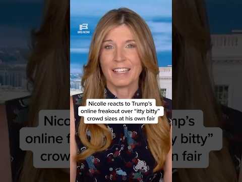 Nicolle reacts to Trump's online freakout over 'itty bitty' crowd sizes at his own fair