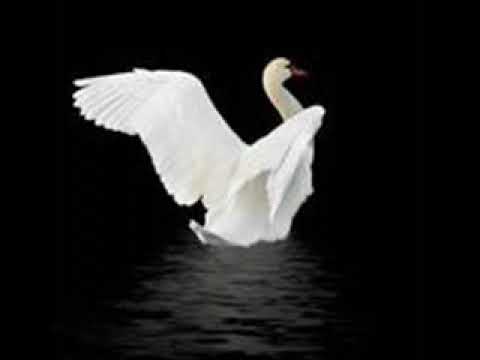 Peter Iljitsch Tschaikowsky - Drei Stücke aus "Schwanensee"