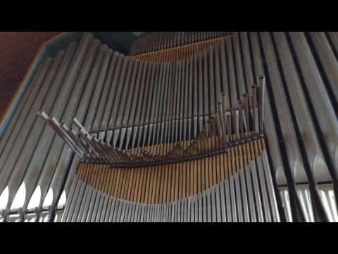 Nürnberg evang. St. Matthäus Orgel
