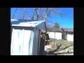 FailFort 11
