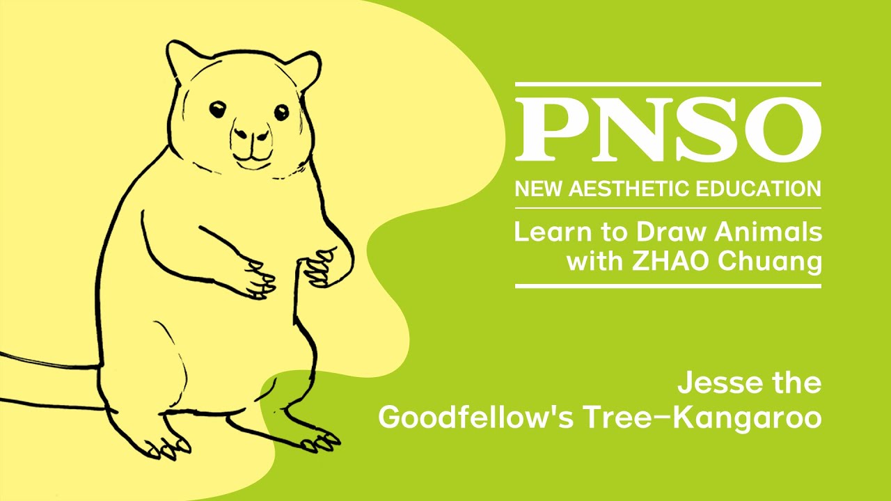 037 Jesse the Goodfellow’s Tree-Kangaroo | Learn to Draw Animals with ZHAO Chuang