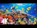 Ocean 4K - Sea Animals for Relaxation, Beautiful Coral Reef Fish in Aquarium (4K Video UHD) #76
