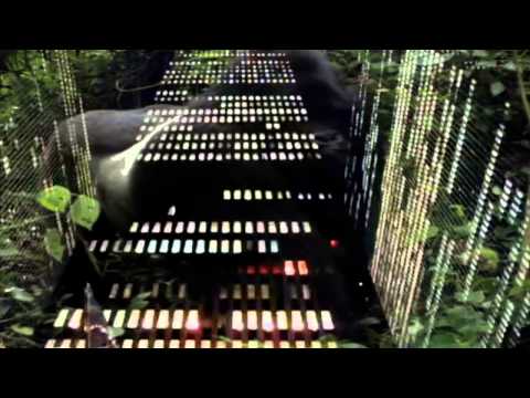 Goryl - The Catch Up