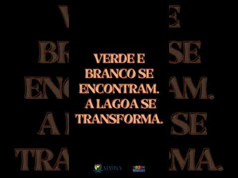 Berçário das garças lagoa do Sal Matina-Bahia