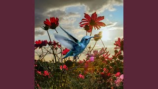 Bright And Beautiful (feat. Cecil Frances Alexander)