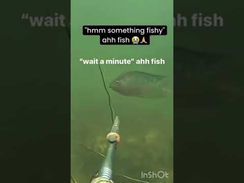 HARPOONERS FIRE #roblox #johndoe #memes #funny #robloxshorts #forsaken #limbuscompany #gasharpoon