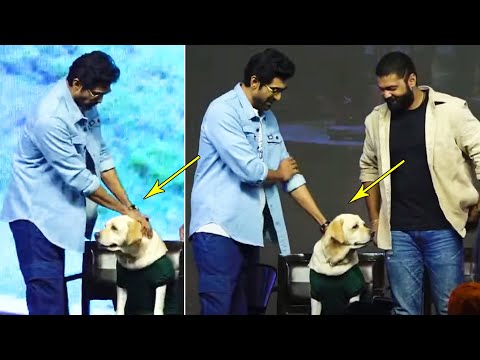 Rana Daggubati CUTE Moments With Dog Charlie | Rakshit Shetty | 777 Charlie Press Meet | News Buzz