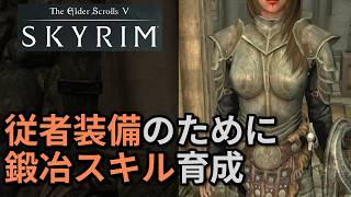【スカイリム】 従者にオシャレ防具を装備させる条件【従者】