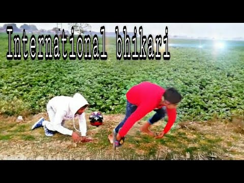 International bhikari