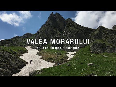 Valea Morarului (Iunie 2020)