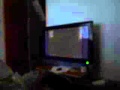 MVI 3417