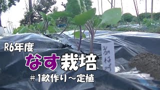なす作り　＃1畝作りから定植まで