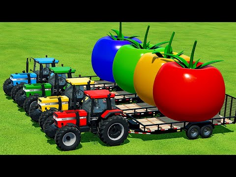 TRANSPORT GIANT TOMATOES WITH CASE TRACTORS - Farming Simulator 22