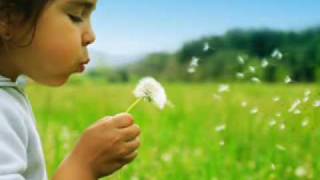 When You Wish Upon A Star