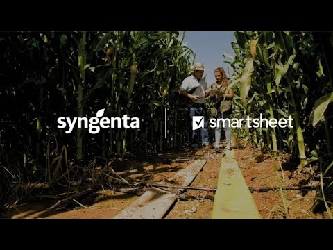 how Syngenta uses Smartsheet to change the future of farming