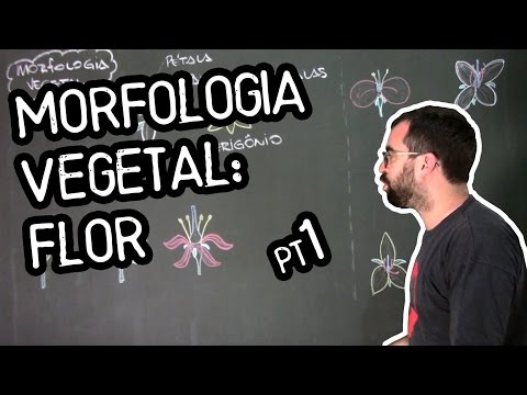 Organologia da Flor (Morfologia) - Aula 18: Botânica (Prof. Guilherme)