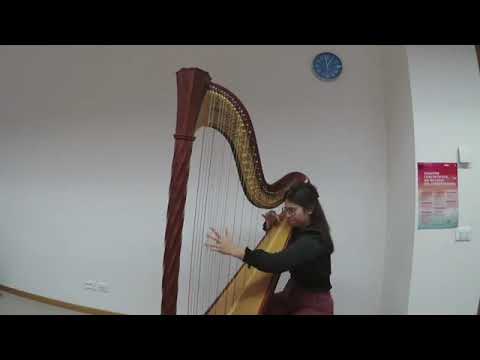 XII Concorso Internazionale d'Arpa M.Tournier - Virginia Pestugia, categoria B