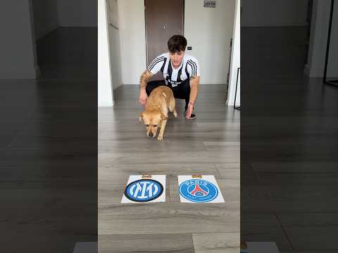 PSG OR INTER? Who will win the Champions League Final #championsleague #psgvsinter #psginter