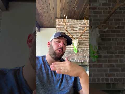 Tell Me You See This Too… #shortsfeed #langley #congress #shortsvideo Thumbnail