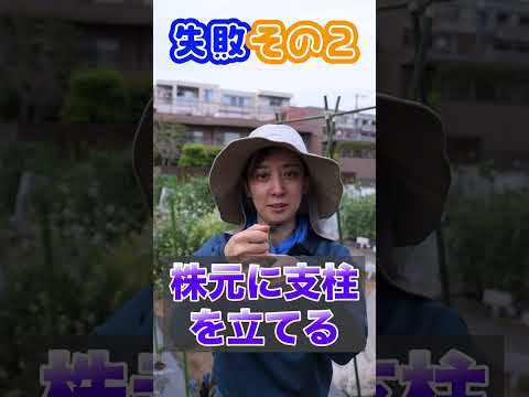 菜園を大雨から守る