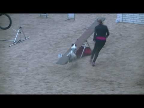 27.11.2016 SV OG Herxheim Flocke