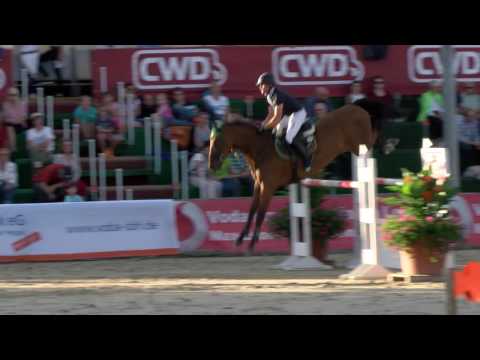 Fest der Pferde 2016   Prf03 59 375 Franz Josef Dahlmann Jun    Rahmannshof Bently