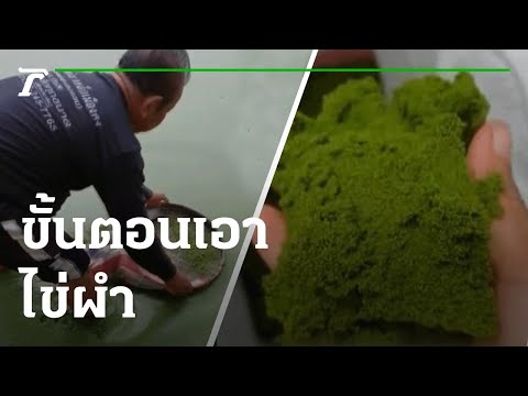 ขั้นตอน