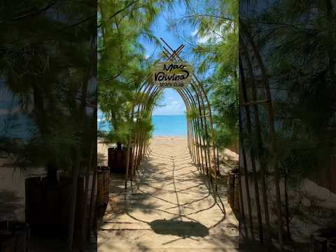 Mão Divina Beach Club 🌴 Maragogi #alagoas
