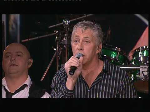 tribute to the cats  nr 1