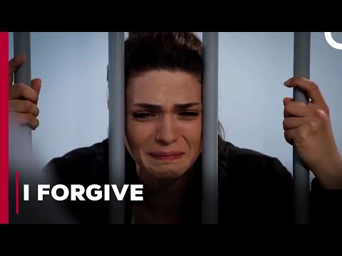 Yağız Retracts His Complaint - Can't Stop Loving You