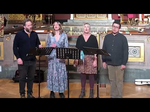 'Fields of Gold'  - Oaken