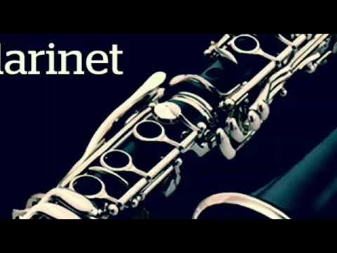 كلارنيت لايف حقيقي LIVE KLARINET KORG PA