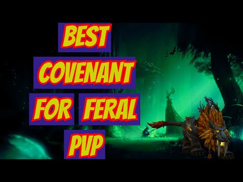 Best Covenant For Feral PVP - Details on each covenant, Signature abilities