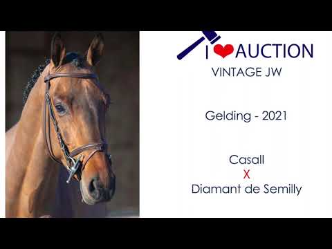 Vintage JW showvideo 1