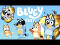 If Bluey Was Edited