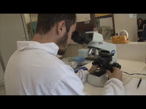 TJ UFSC 13/09/2017 - Guia de Cursos UFSC: Ciências Biológicas // Minuto UFSC: Laguinho