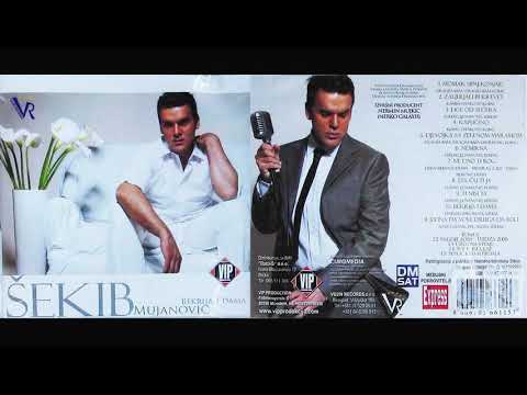 Sekib Mujanovic - Bekrija i dama - (Audio 2009)