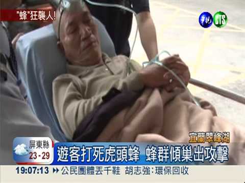 翠峰湖虎頭蜂螫人 4人傷老翁昏迷