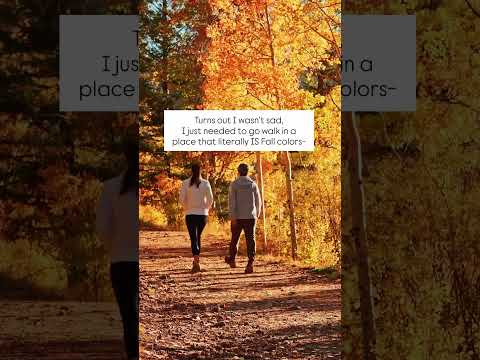 1️⃣ Aspen Vista Trail – a golden tunnel of aspen trees that feels straight out of a dream