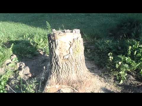 zombie go boom hatchet winner test.