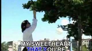 Inamorata - Jerry Vale(karaoke)_xvid.avi