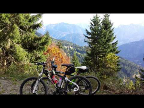 Le Collese a piede libero