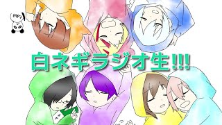 白ネギ屋ラジオ生放送!!!【ネギラジ】