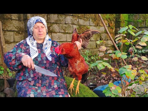 Cooking live rooster in the heart of Countryside | Baking local bread