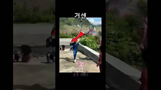 Download lagu 3초만 늦었어도... 아찔! 두 아이 끌고 언덕으로 달린 엄마 A mother dragged her two children up the hill mp3