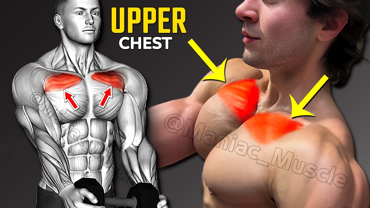 BEST Upper Chest Workout Routines You Need To Know